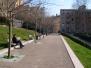  Allée piétonnière plantée d'arbres, quartier Croix-Rousse